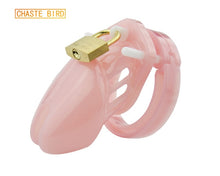 Load image into Gallery viewer, Chastity Cage With 5 Size Rings
