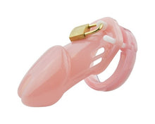 Load image into Gallery viewer, Chastity Cage With 5 Size Rings
