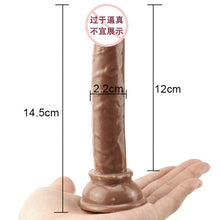 Load image into Gallery viewer, Soft Jelly Dildo
