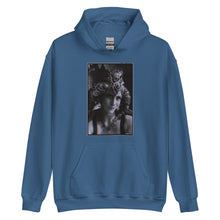 Load image into Gallery viewer, Applerose Hoodie
