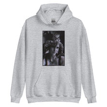 Load image into Gallery viewer, Applerose Hoodie
